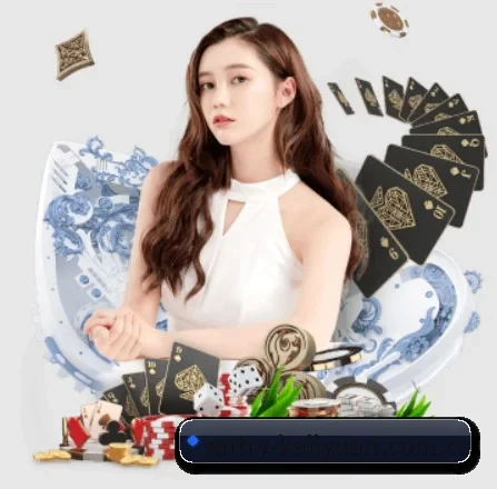 entry-kaiiyuan.com.cn的方向